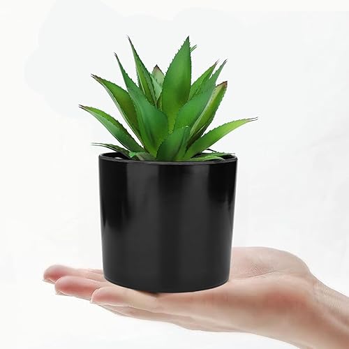 Miniatura 5 de Hopewood Plantas artificiales, 3 plantas suculentas artificiales en macetas blancas, mini suculentas en maceta para decoración del hogar y opción de