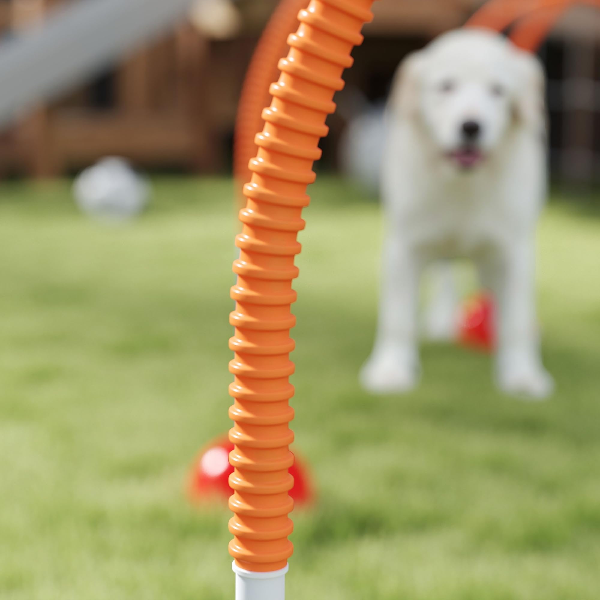 PawHut Agility zestaw dla psów, 5-częściowy zestaw z możliwością napełniania, wyposażenie zwinnościowe do treningu psa, zestaw płotek wtykowych z regulowanymi drzwiami zwinnościowymi, torba, akcesoria