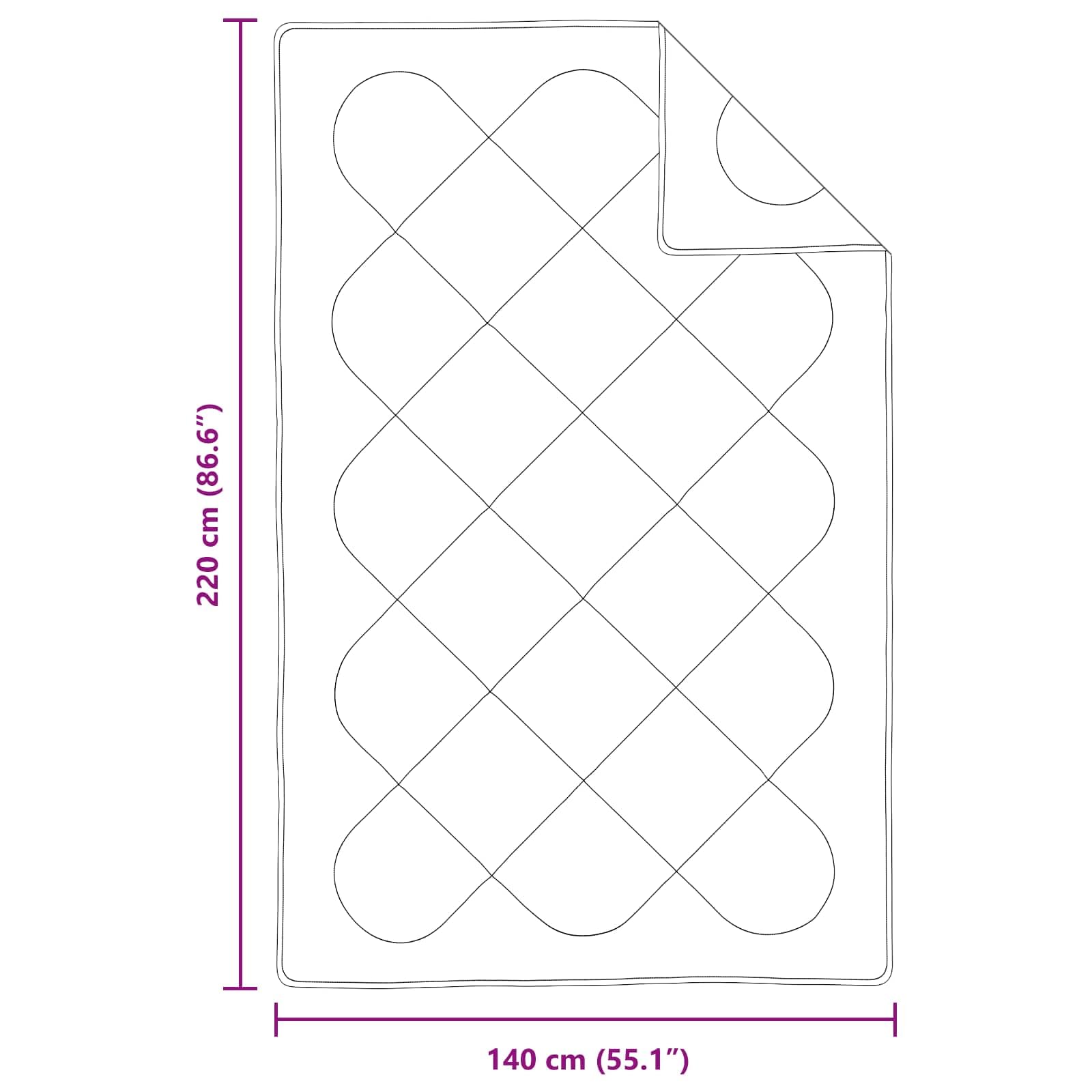 Set di Piumoni con Cuscino 2 PCS Bianco Microfibra, Casa e Giardino,Biancheria,Lenzuola e Coperte, 5.97kg-3376865
