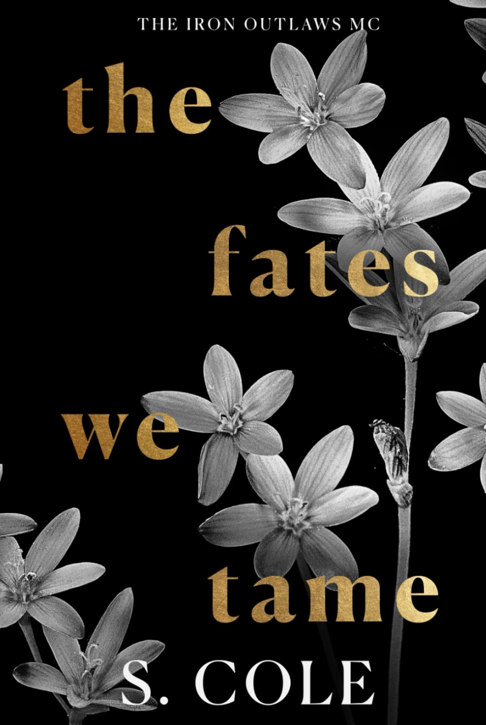 The Fates We Tame: Iron Outlaws MC Book 8
