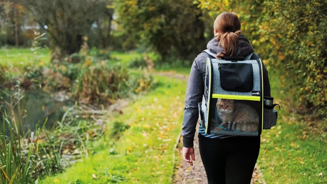 Amazon.com : Pecute Cat Backpack Carrier Expandable , Foldable Pet