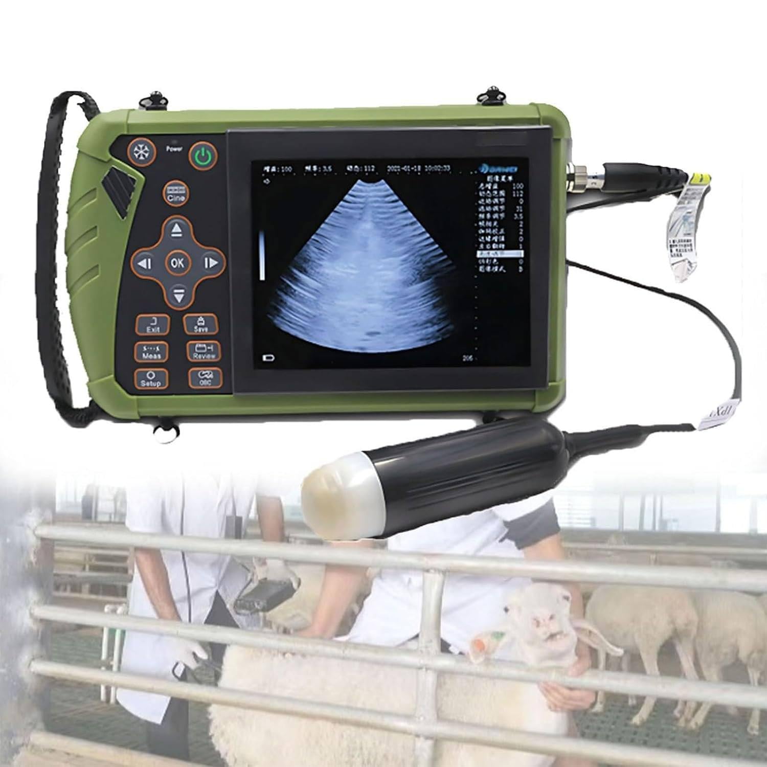 Échographe portable pour tests de gestation vétérinaires, appareil d'échographie portable numérique avec sonde mécanique 3,5 MHz et 8 panneaux de couleur pour tests de gestation chez les brebis