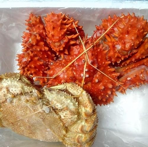 [北海道根室市] 北海道根室市産花咲ガニ1尾・毛がに1尾(2種計900g前後) C-57055 父の日 ギフト プレゼント 贈り物