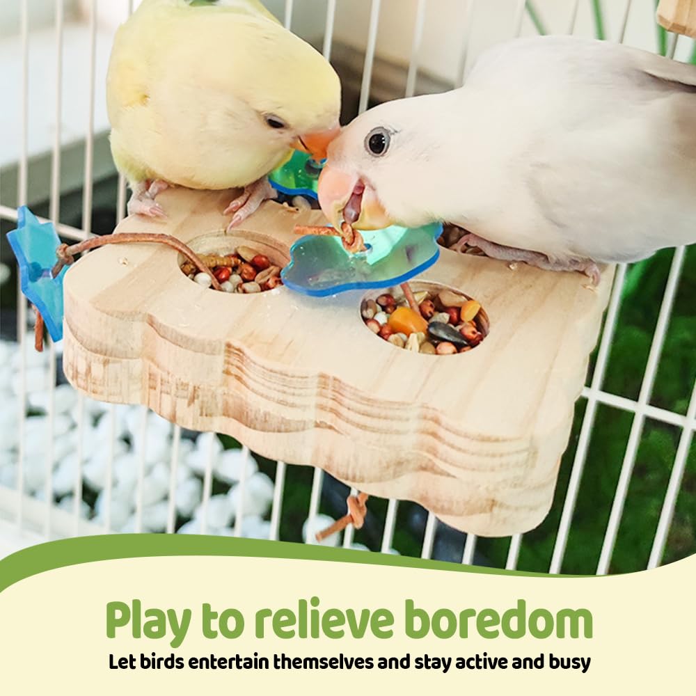 DONGKER Wooden Bird Foraging Puzzle Toys,Multiple Uses Parakeet Feeder Perches Stand with Custom Acrylic Lid for Macaw Sun Conure Small Sized Birds - image 5