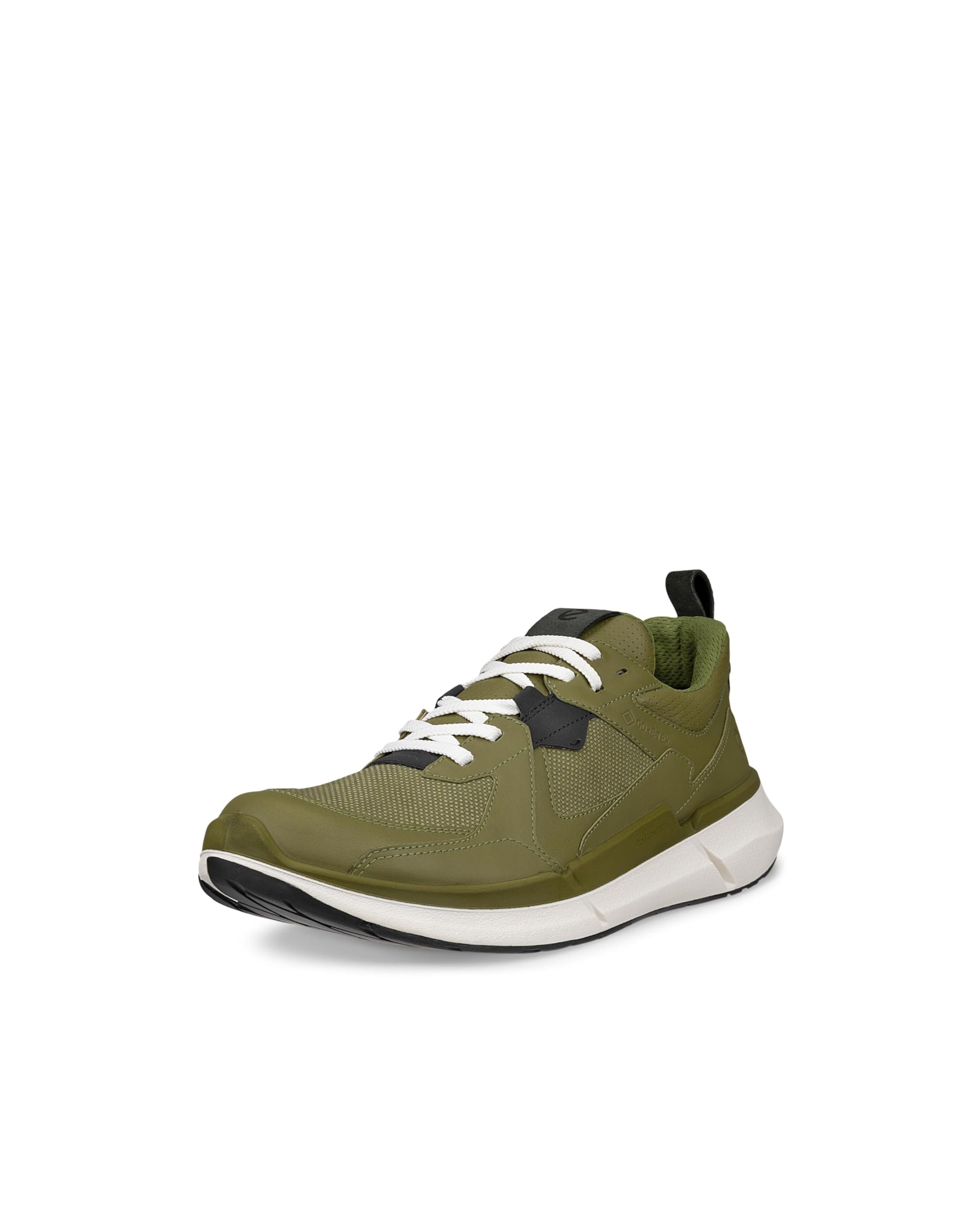Amazon | [エコー] バイオム 2.2 本革 メンズ GORETEX 防水 アス