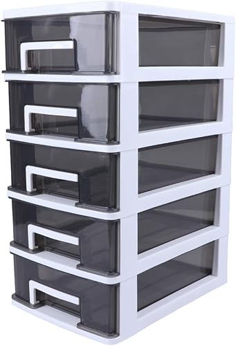 DECHOUS Organizador de almacenamiento de plástico con 5 cajones, 12.2 pulgadas de alto x 8.4 pulgadas de ancho, organizador de cajones de plástico