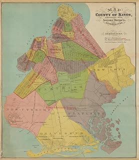 Map of the County of Kings, Showing the Assembly Districts, October 1869 (1869) 16x18 UnFramed Art Print Poster Ready for Framing by MuseumPrints