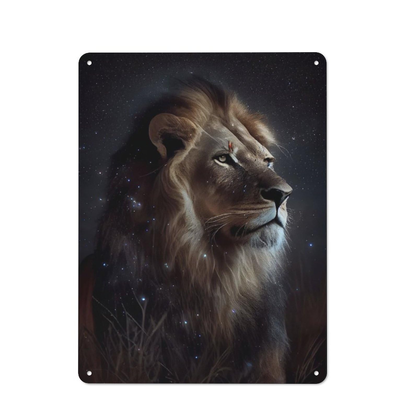 Lion Galaxy Rustic Metal Sign 40x30cm for Hobby Room Or Studio, Suited to Hobby Room Decor Fans