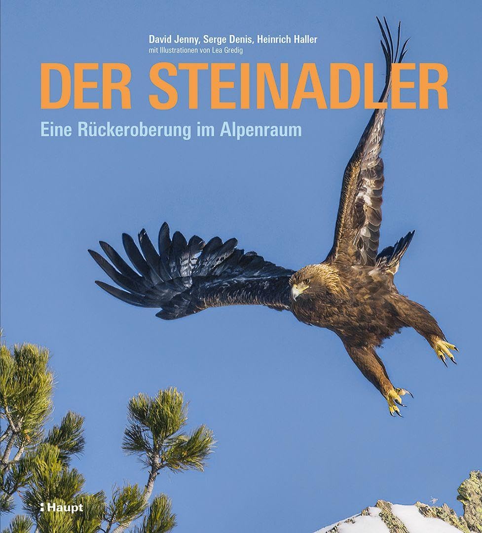 Der Steinadler: Eine Rückeroberung im Alpenraum