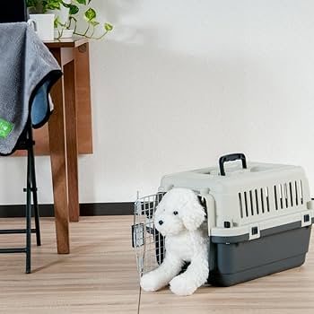 GJ61 未使用 プチリュバン IATA 基準クリア デラックス キャリー/S9 Amazon | プチリュバン 【 IATA 基準クリア】デラックス