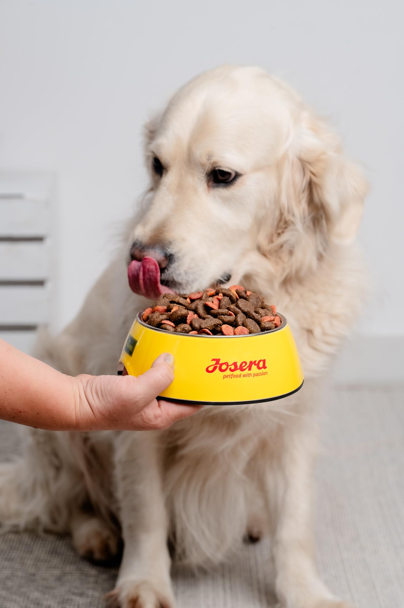 JosiDog Adult Sensitive (1 x 15 kg) | Karma dla psów wrażliwych, wyjątkowo wrażliwa i bezglutenowa | powered by JOSERA | sucha karma premium dla dorosłych, wrażliwych psów, 1 szt. w opakowaniu