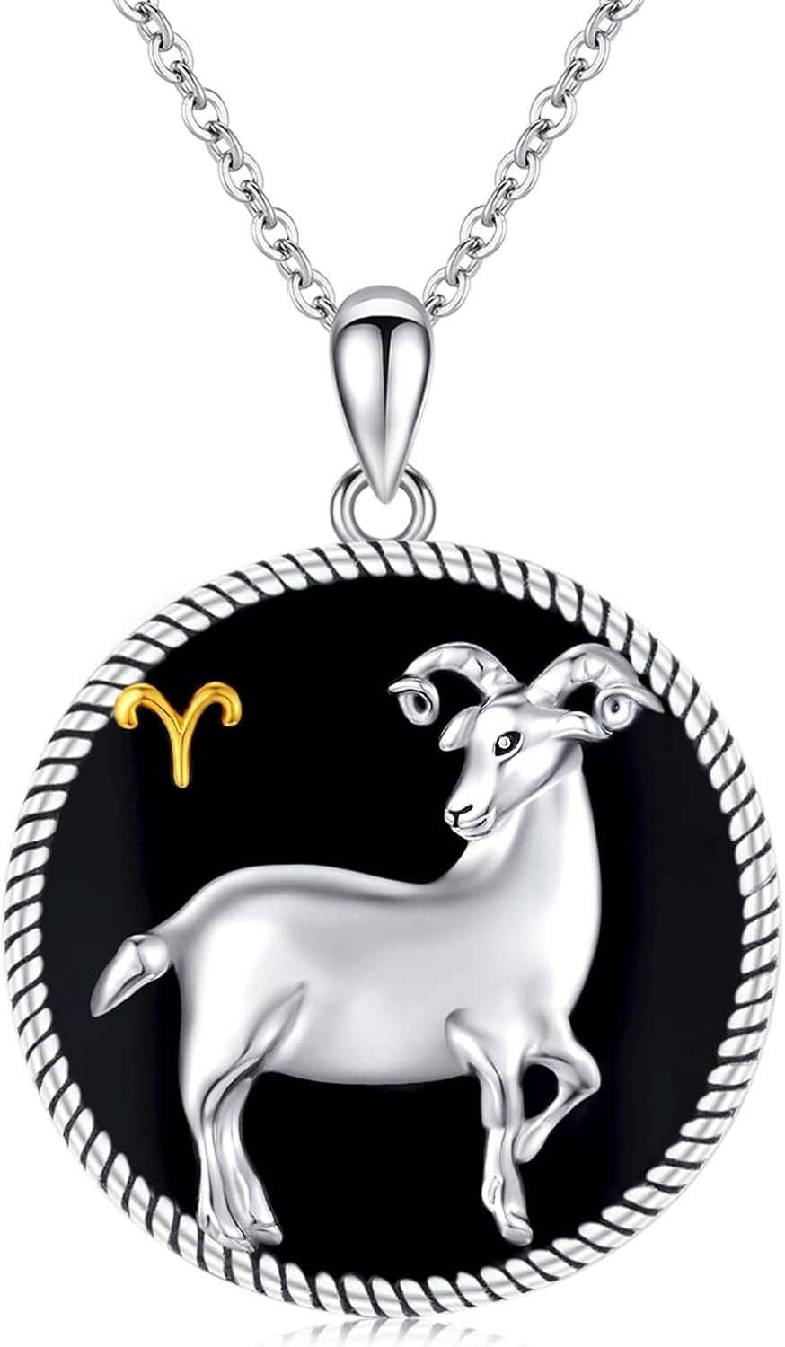 12 Constellation Necklace 925 Sterling Silver Zodiac Sign Coin Pendant Necklaces Black Onyx Astrology Horoscope Jewelry Birthday Gifts for Women Men