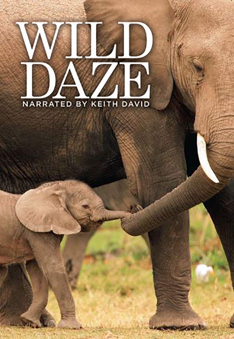 Wild Daze USA DVD el documental para aprender sobre ecología