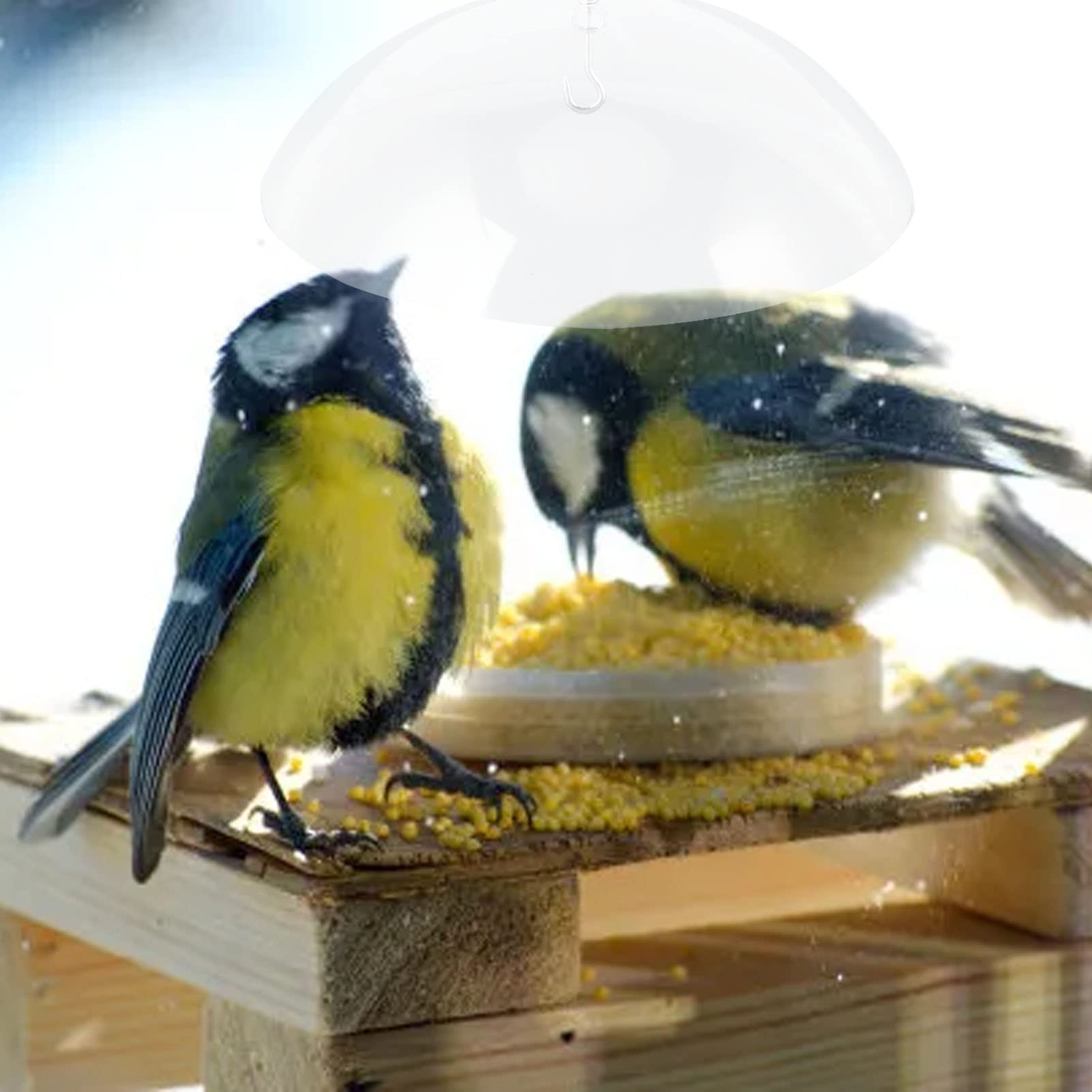 IBorn Mangeoires à Oiseaux Avec Récupérateur De Graines Pour Suspension Extérieure à 6 Ports En Aluminium Pour Oiseaux Cardinals, Finition Verte 35,6 Cm 6 Ports (les Graines Ne Sont Pas Incluses