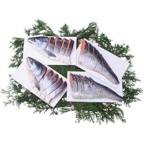 yΕMtg 2025z kCYѐVpؐg (Ε̂)