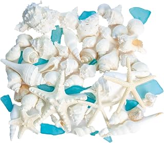 White Mixed Beach Seashells 2lb with Starfish & Sea Glass – Real Sea Shells for Crafts, Ocean Décor, Seashell Decorations, Coastal Home Accents, Large Shells for DIY, Beach Weddings & Parties