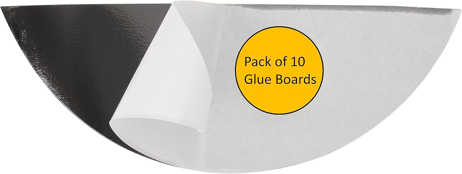 Awoco Pack of 10 Replacement Sticky Type C Glue Boards for Awoco Wall Mount Sticky Fly Trap Lamp Model FT-1C18 - Fits for Other Brands (10 Pcs Type C)