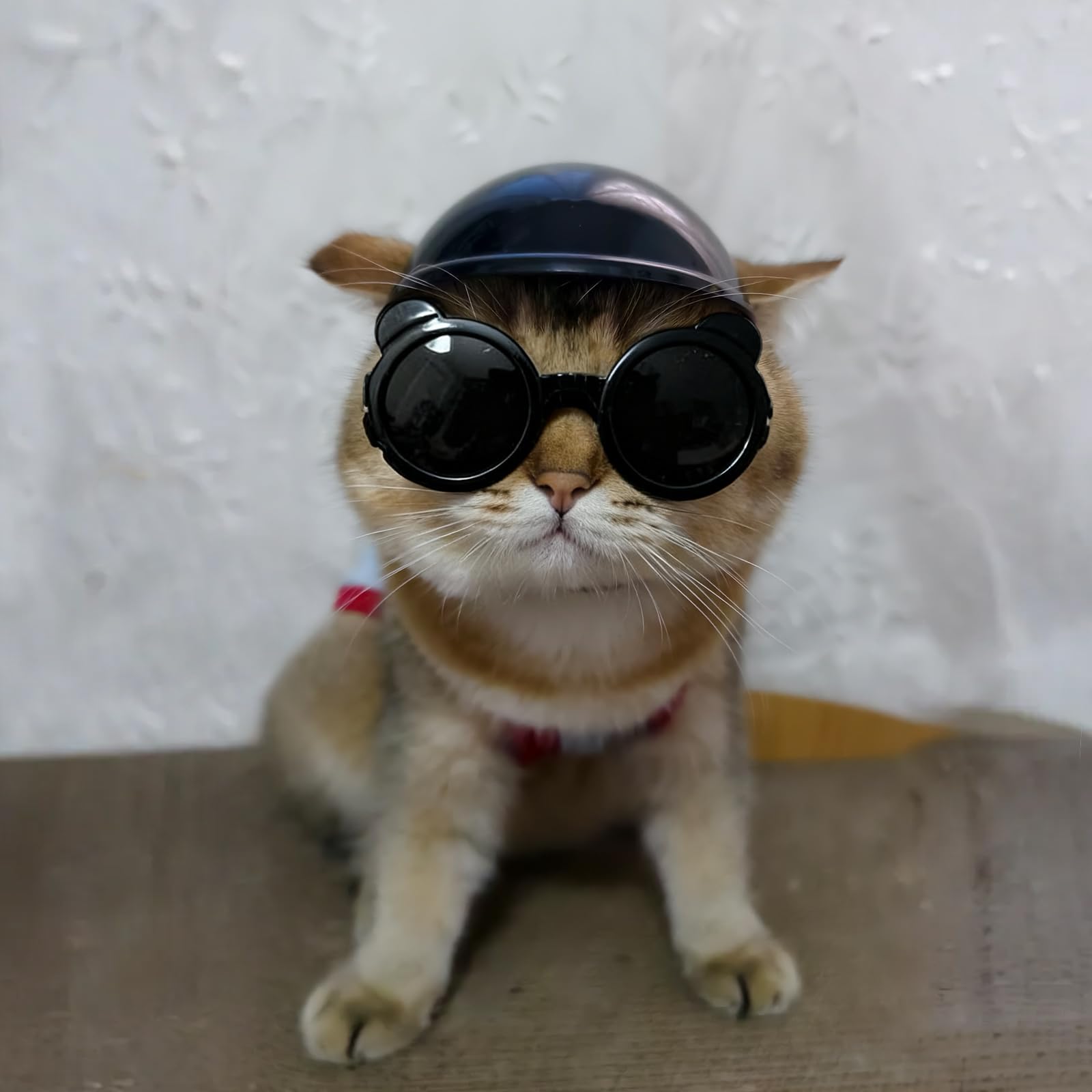 Occhiali da sole per cani di taglia extra piccola e casco per cani di taglia XS, 2 pezzi, occhiali da sole anti-UV, set di casco protettivo per gatti, chihuahua, protezione per testa e occhi