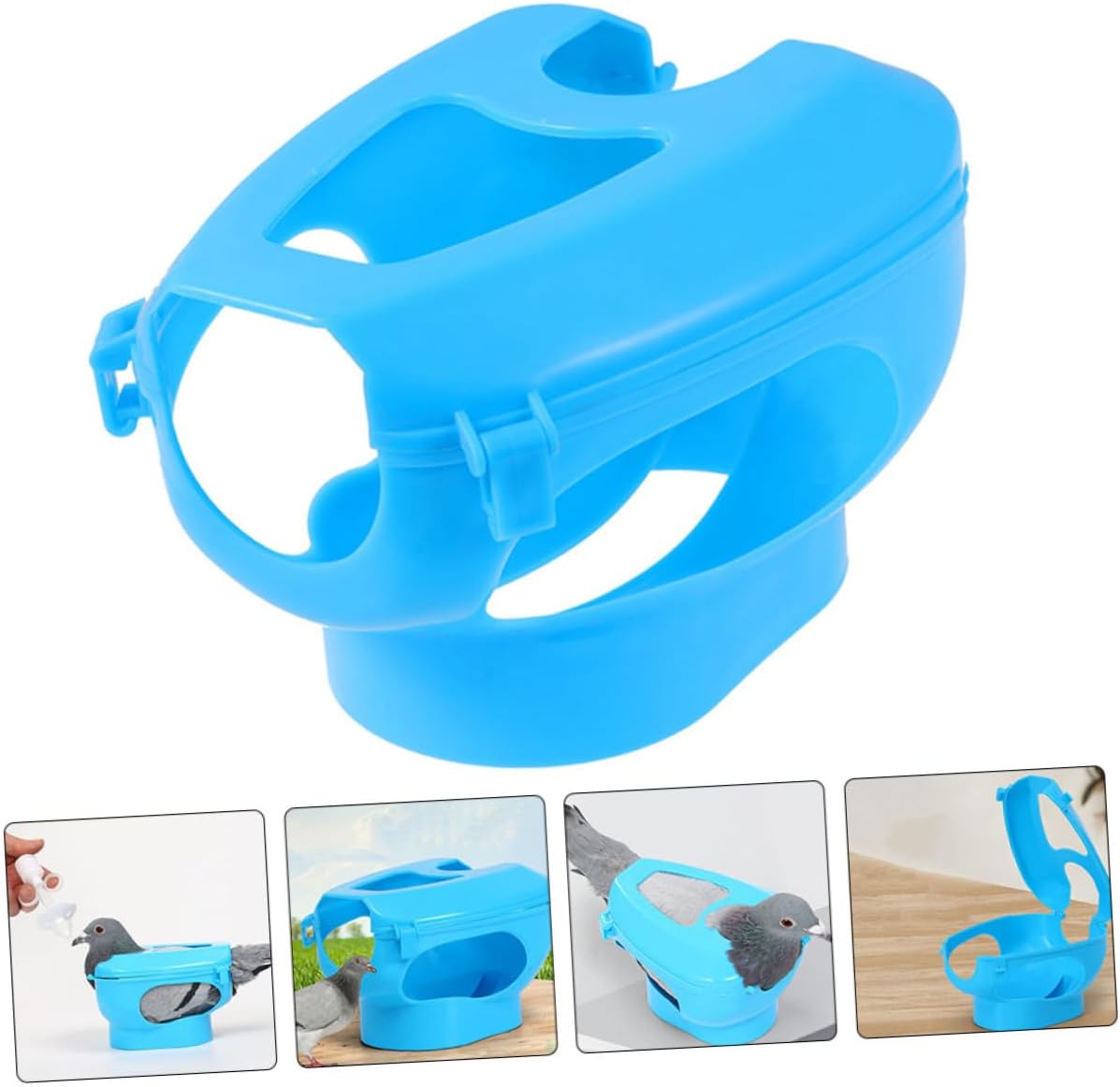 Garneck 6pcs Racing Fixed Pigeon Holder Pigeon Feeding Holder Injection Fixed Frame Bird Supplies