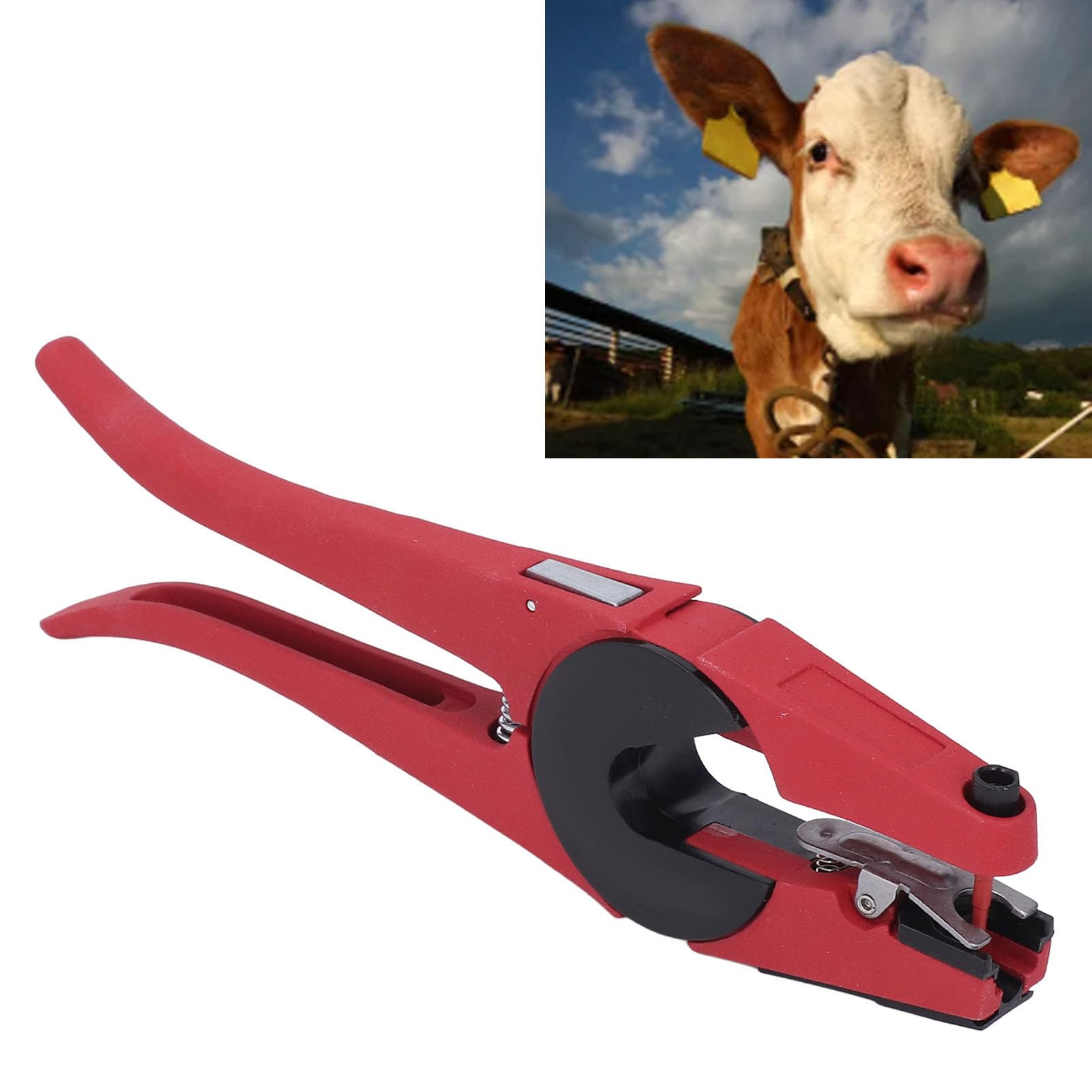 Applicateur d'étiquettes d'oreille de Bétail, Moutons, Chèvres, Bovins, Porcs, Pinces, Outils pour Animaux, Rouge pour étiquettes d'oreille d'Animaux de Mouton, Agneau,