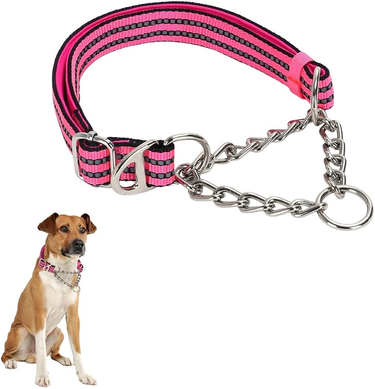 Coleira Martingale para Cães com Corrente de Aço Inoxidável e Nylon Refletivo Ajustável HimyBB