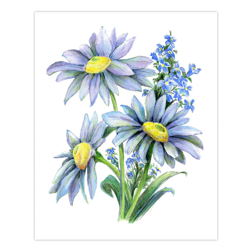 Royal and Langnickel Drawing Made Easy 4 Flower Projects Set