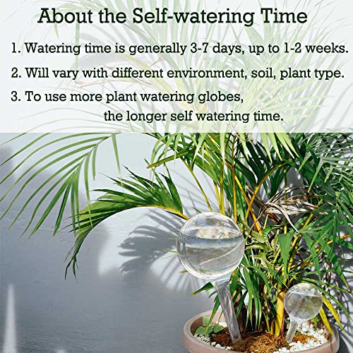 Plant Self Watering Stakes, 10Pcs Clear Plant Self-Watering Bulbs, Flower Plant Automatic Watering Device, Self Watering Planter Insert Garden Waterer For Plant Indoor Outdoor Flower #TOP2