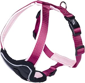Nobby Classic Nylon Dog Harness 20 mm x 50/70 cm Black