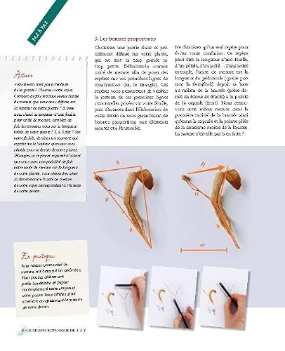 Le dessin botanique de A à Z: Observer, s’entraîner, dessiner, mettre en couleur – vue 6