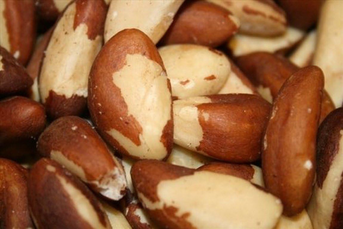 Brazil Nuts