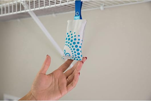 Bright Air Fresh Pak Sachets