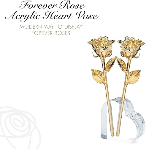 Miniatura 2 de Forever Rose Jarrón acrílico con forma de corazón con texto en inglés "I Love You", para 2 rosas eternas