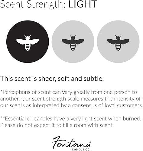 Miniatura 6 de Fontana Candle Company - Vela sin perfume de cera de abejas y aceite de coco de 9 onzas, mecha de madera, no tóxica, largo tiempo de combustión,