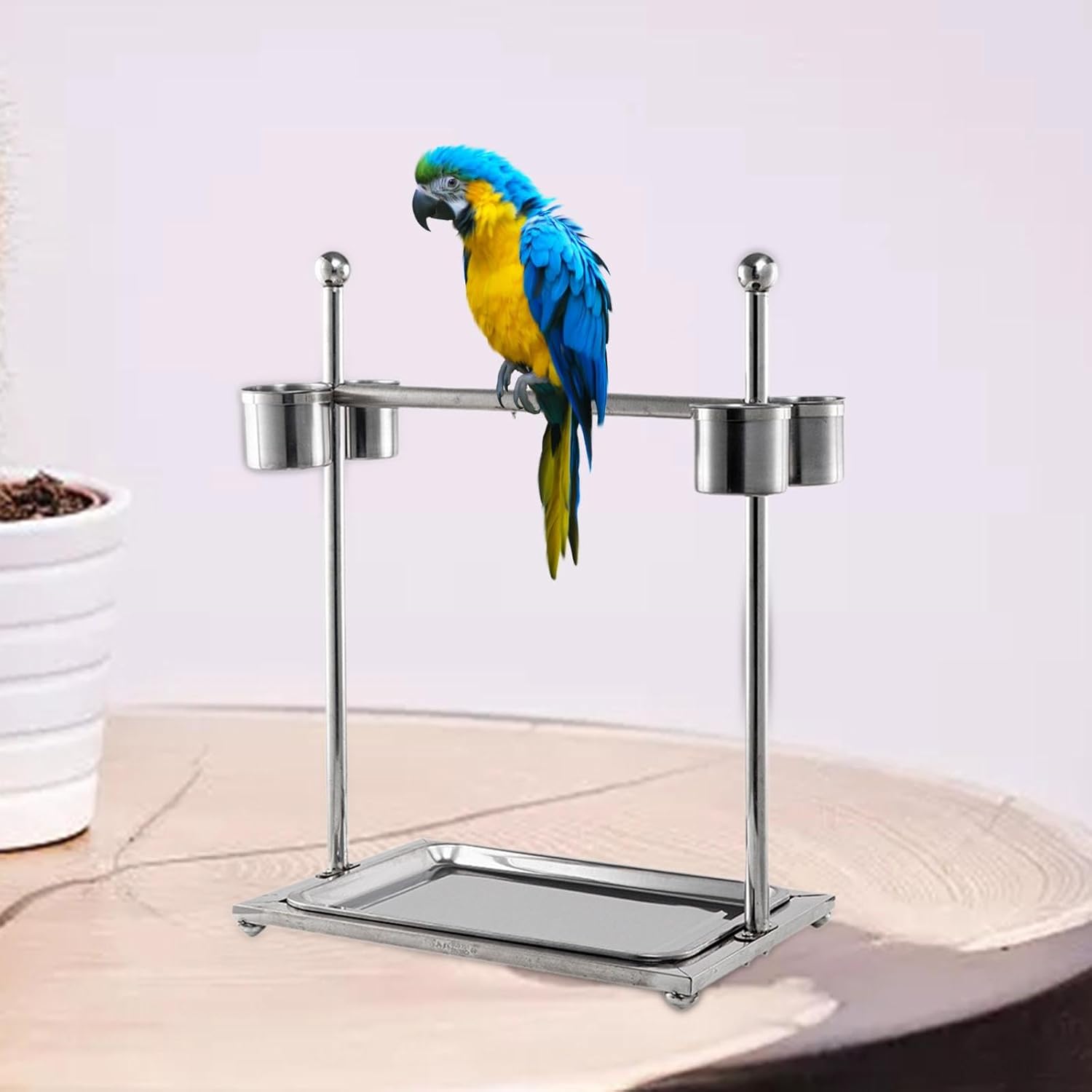 Generic Parrot Stand Pet Parrot Playstand Desktop Bird Stand Bird Perch Stand for Budgie, 36x25x40cm