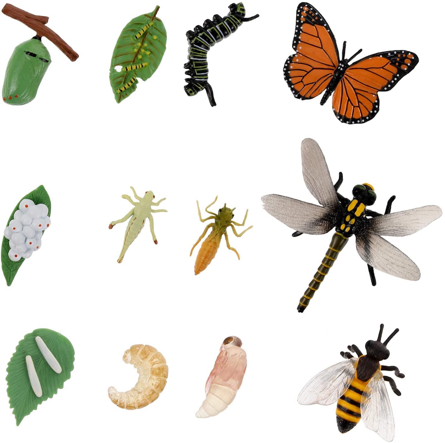 Buy Insect Figurines Life Cycle of a Butterfly Dragonfly Bee