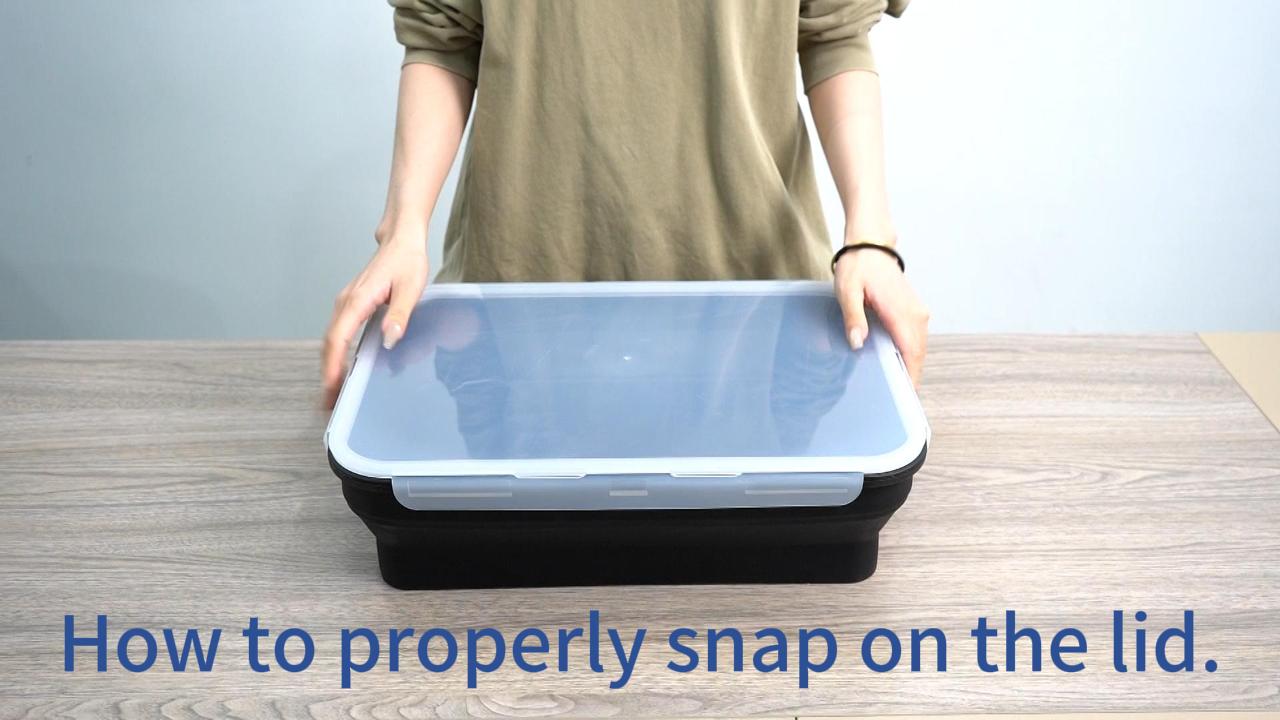 Amazon.com: XL Collapsible Marinating Container,Large-Capacity