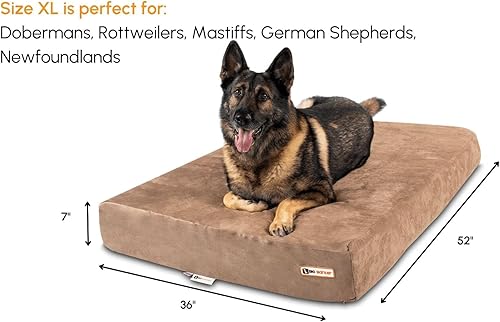 Miniatura 2 de Big Barker Elegante cama ortopédica para perros  Cama para perros grandes de 7 pulgadas con funda de microgamuza lavable  Elegante cama elevada para