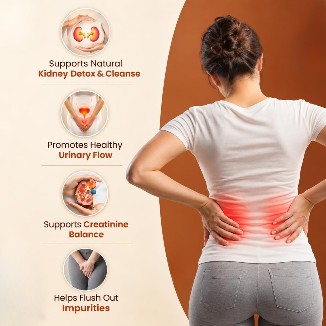 Sushain Punarnava Capsules 500 MG | Best For UTI | Kidney And Liver Care | Punarnava Supplement — Amazon image 4