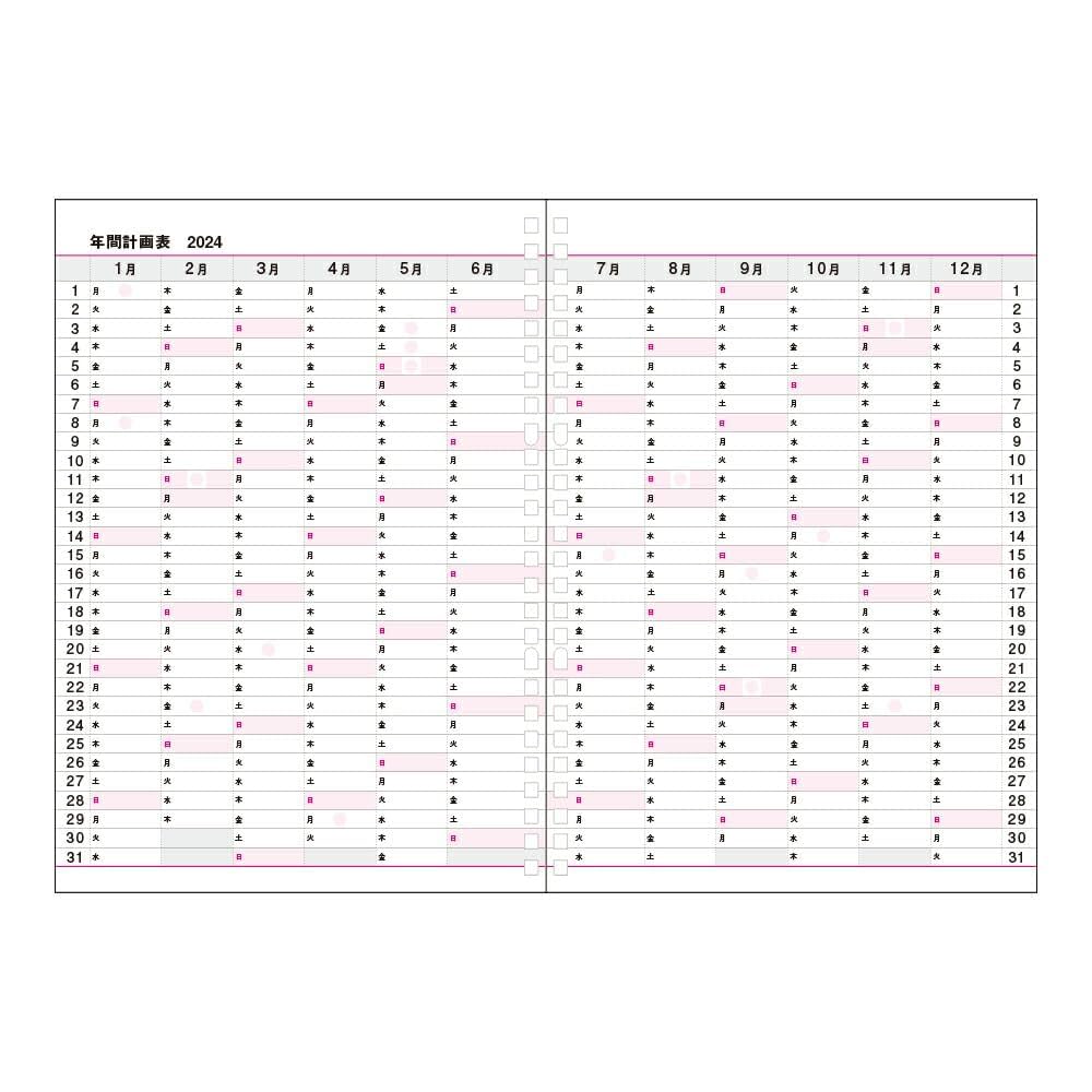 Amazon.co.jp: コレクト 手帳用リフィル 2024年 日記リーフ