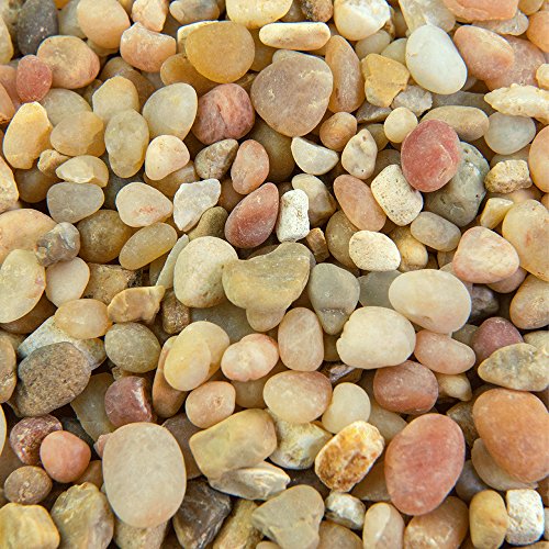 Southwest Boulder & Stone Landscape Rock and Pebble | 20 Pounds | Natural, Decorative Stones and Gravel for Landscaping, Gardening, Potted Plants, and More (Parchment, 3/8 Inch) - Thumbnail 2