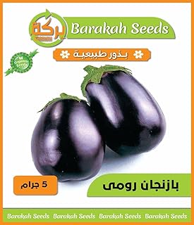 High Germination Vegetable Seeds for Plant (Turkey Bazangan, Organic, 1)