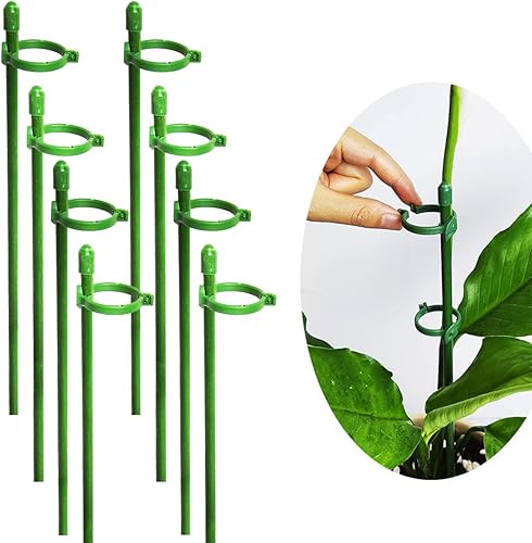 Belit Paquete de 8 estacas de soporte para plantas pequeñas, estacas ajustables de soporte de un solo tallo para jardín, anillo de soporte para