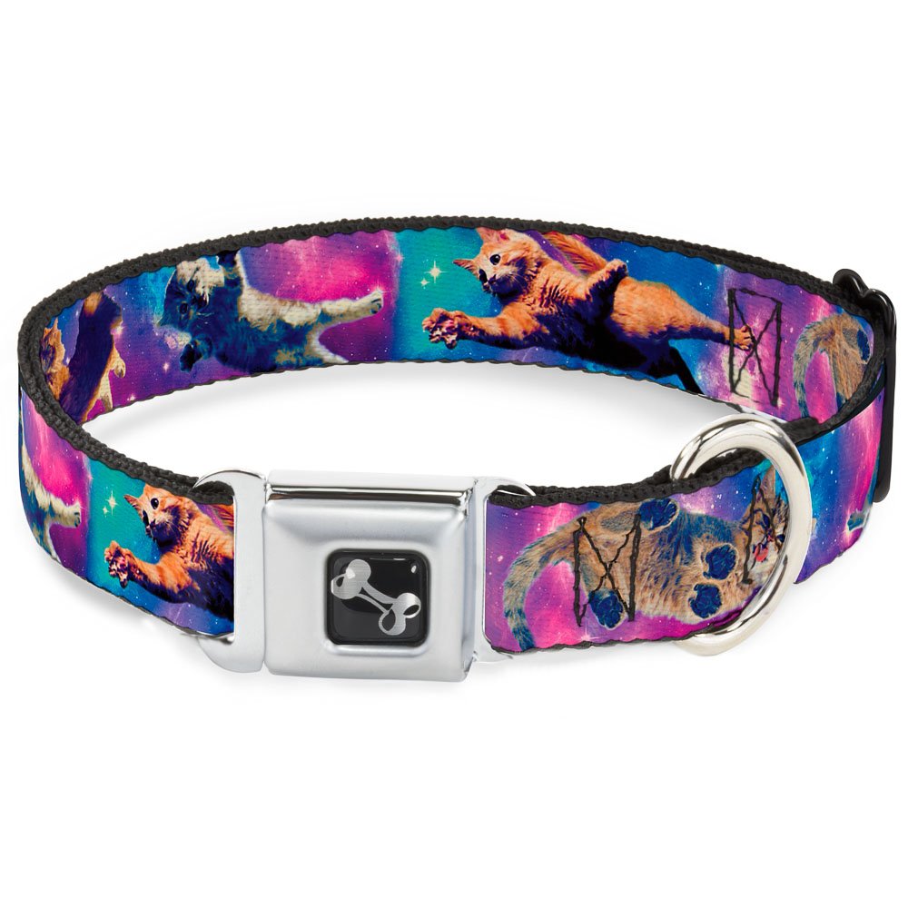 Collier pour chien motif chats dans l'espace Buckle Down taille M