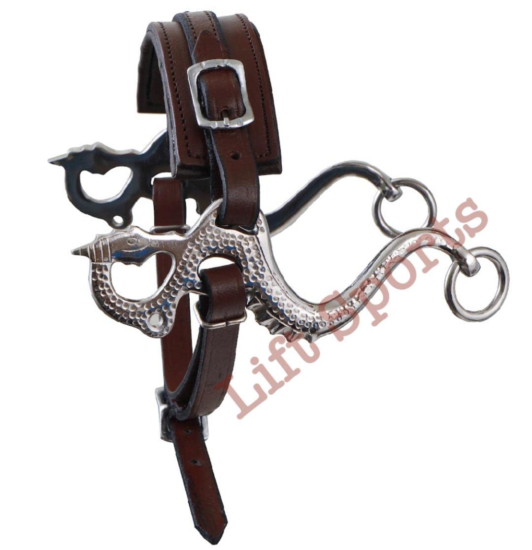 Lift Sports Black/Brown Dragon Style Hackamore Bitless Horse Bit English Western Adjustable Original Leather Bridle Equestrian Tack (Black)