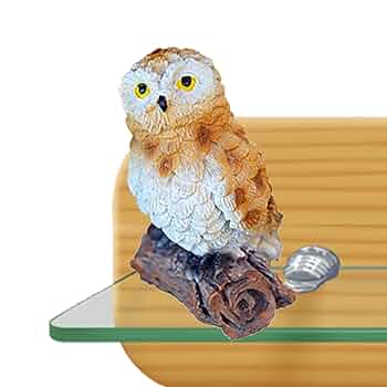 Amazon.co.jp: フクロウの置物 - フクロウ図現実的な愛らしい