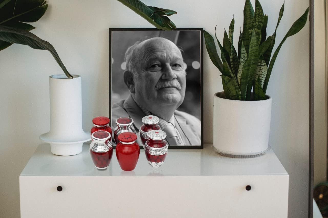 Bold & Divine Small Cremation Urns for Human Ashes | Set of 6 | 3 Cubic Inches | Mini Keepsakes with Velvet Case (Red & Silver, Small Urns_Set of 6)