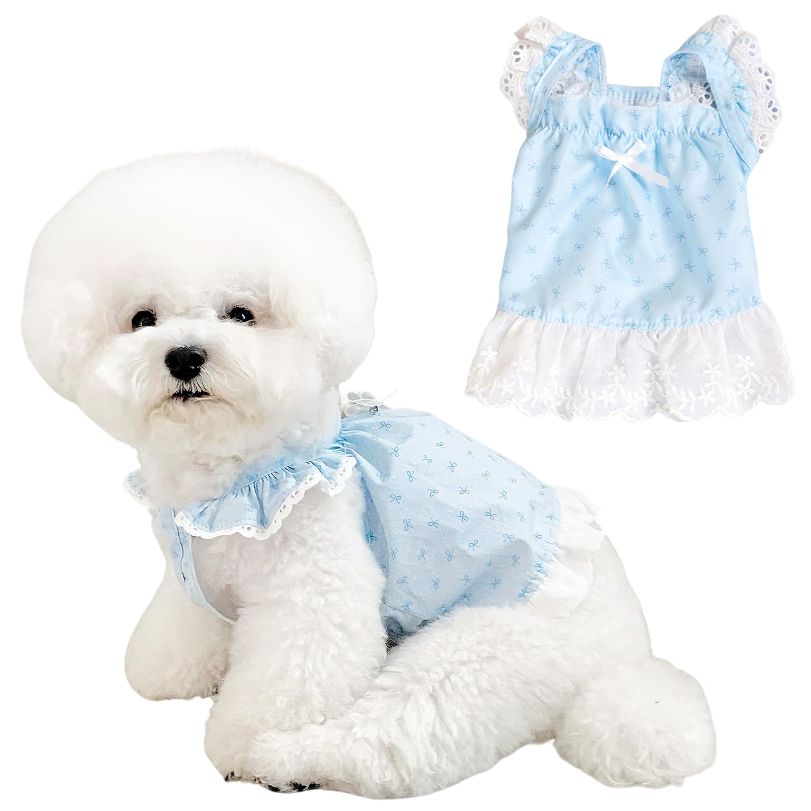 Lot de 2 Robes pour Chien, vêtements d'été à imprimé Floral de Taille XS, Chemises à Volants pour Petits Chiens, Bleu et Rose (Bleu, Taille M (2,5 à 4 kg)