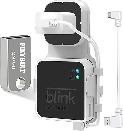 256GB Blink USB Flash Drive and Sync Module 2 Mount, Space