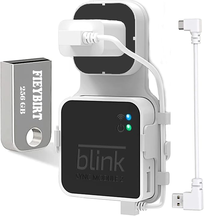 Fieybirt 256GB Blink USB Flash Drive for Local Video Storage with The