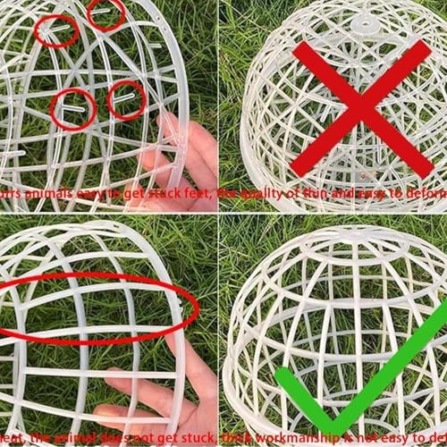 Cage ronde pour poulailler extérieur de qualité supérieure pour canard - 8